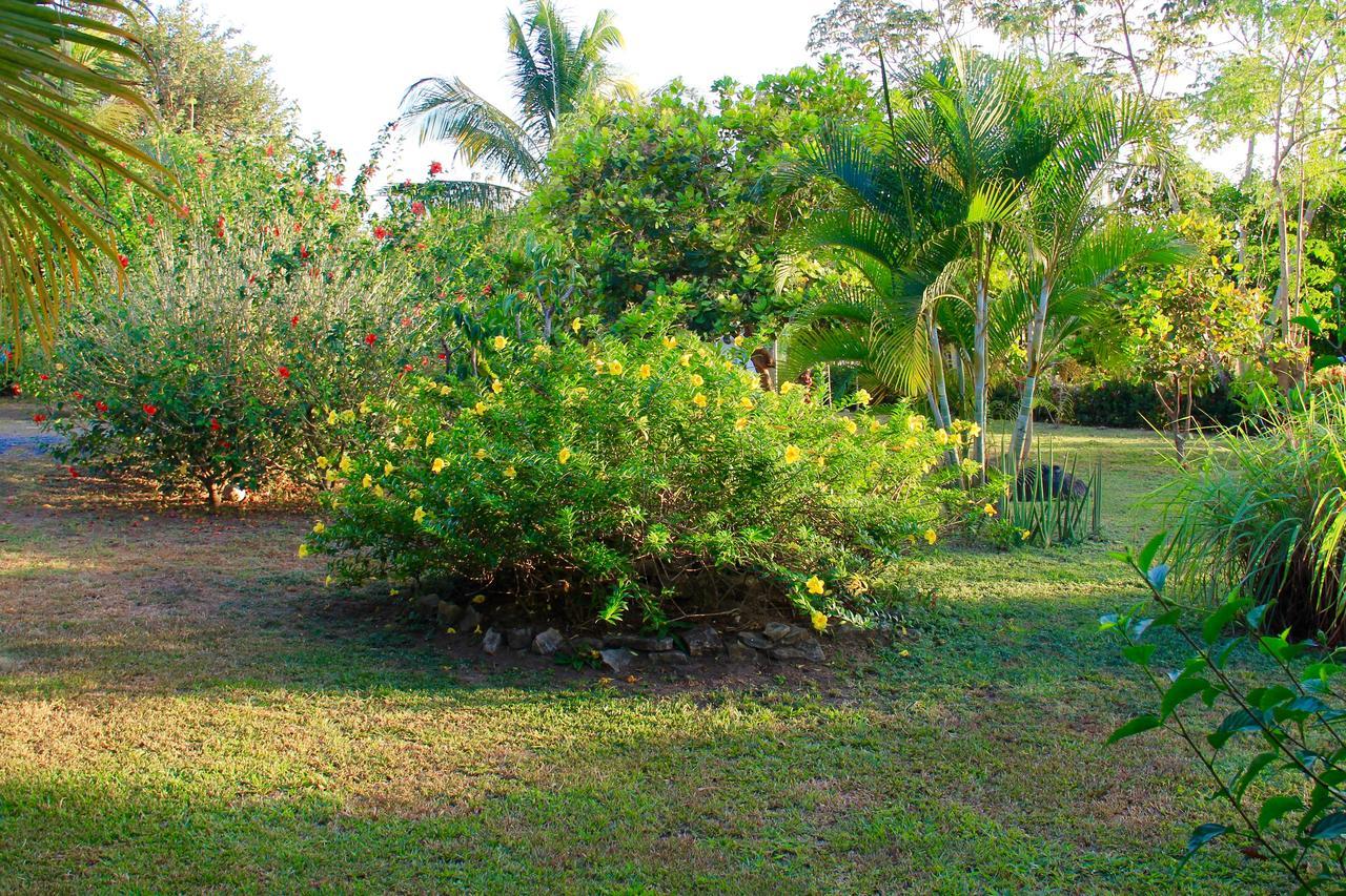 Cabanas La Casa De Pucha Pedasi Town Exterior photo